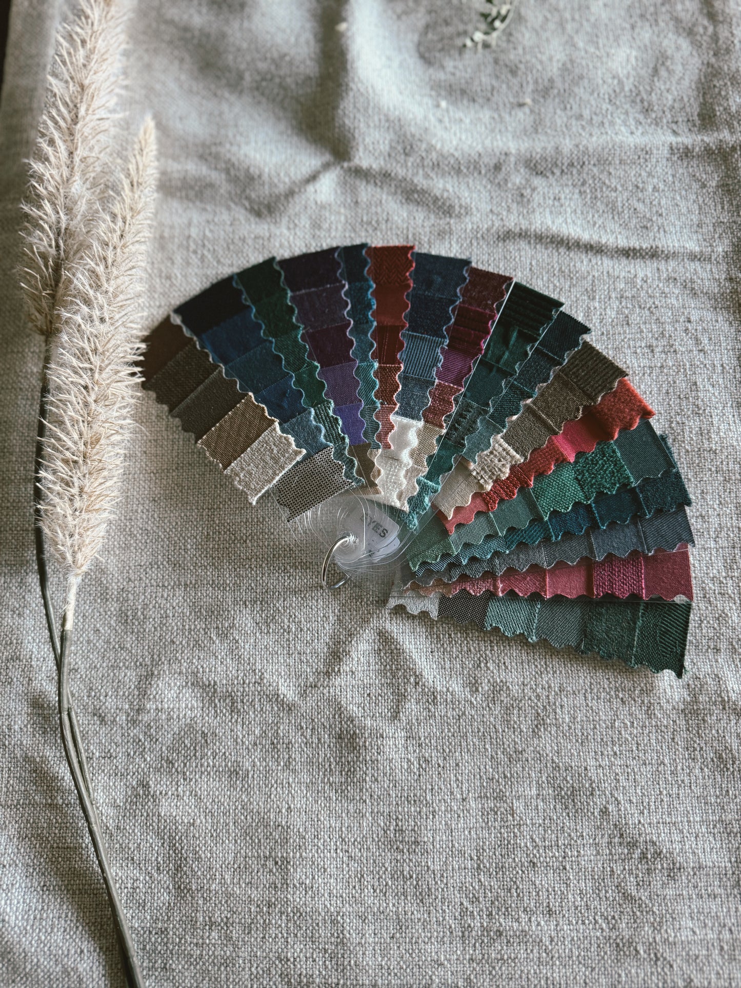 Custom Color Analysis